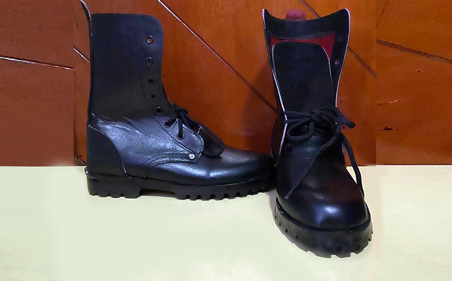 Botas